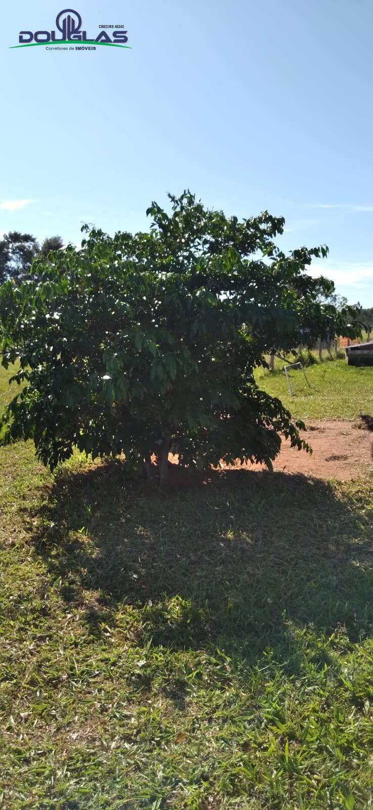 Terreno, 3050 m² - Foto 15