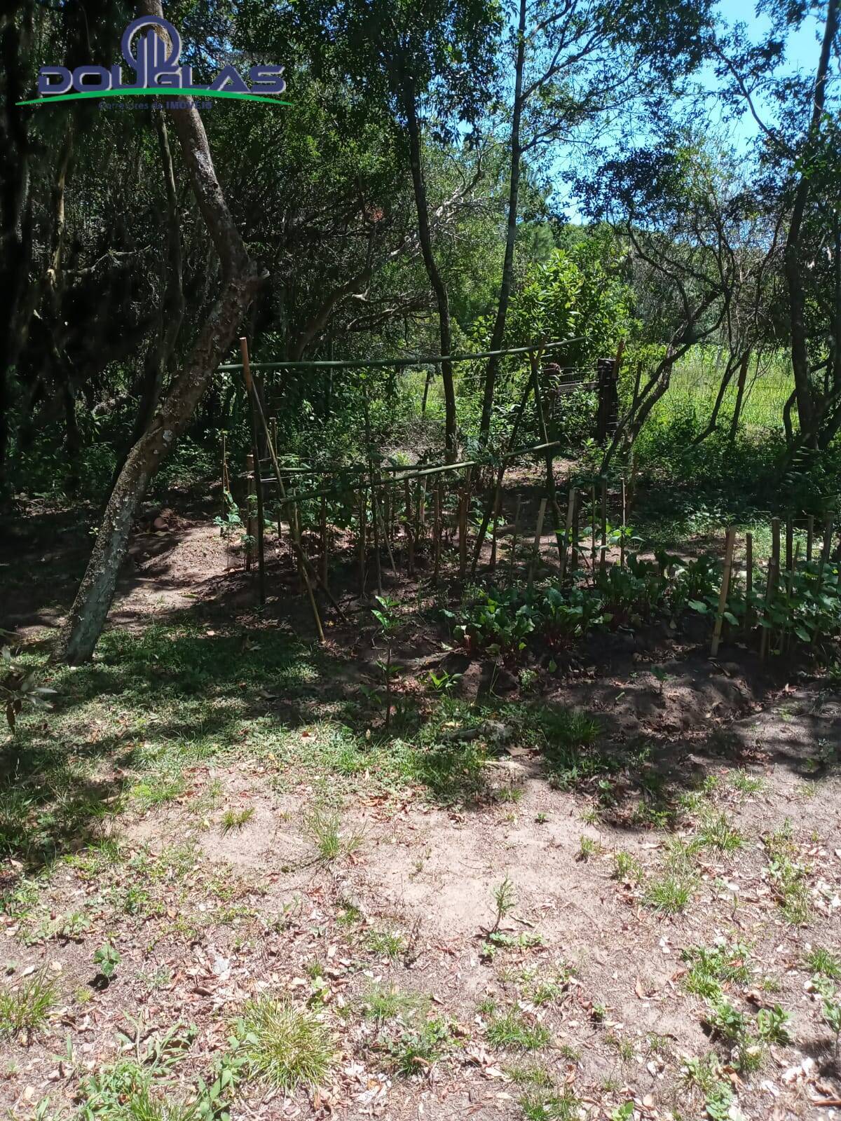 Casa, 2 quartos - Foto 16