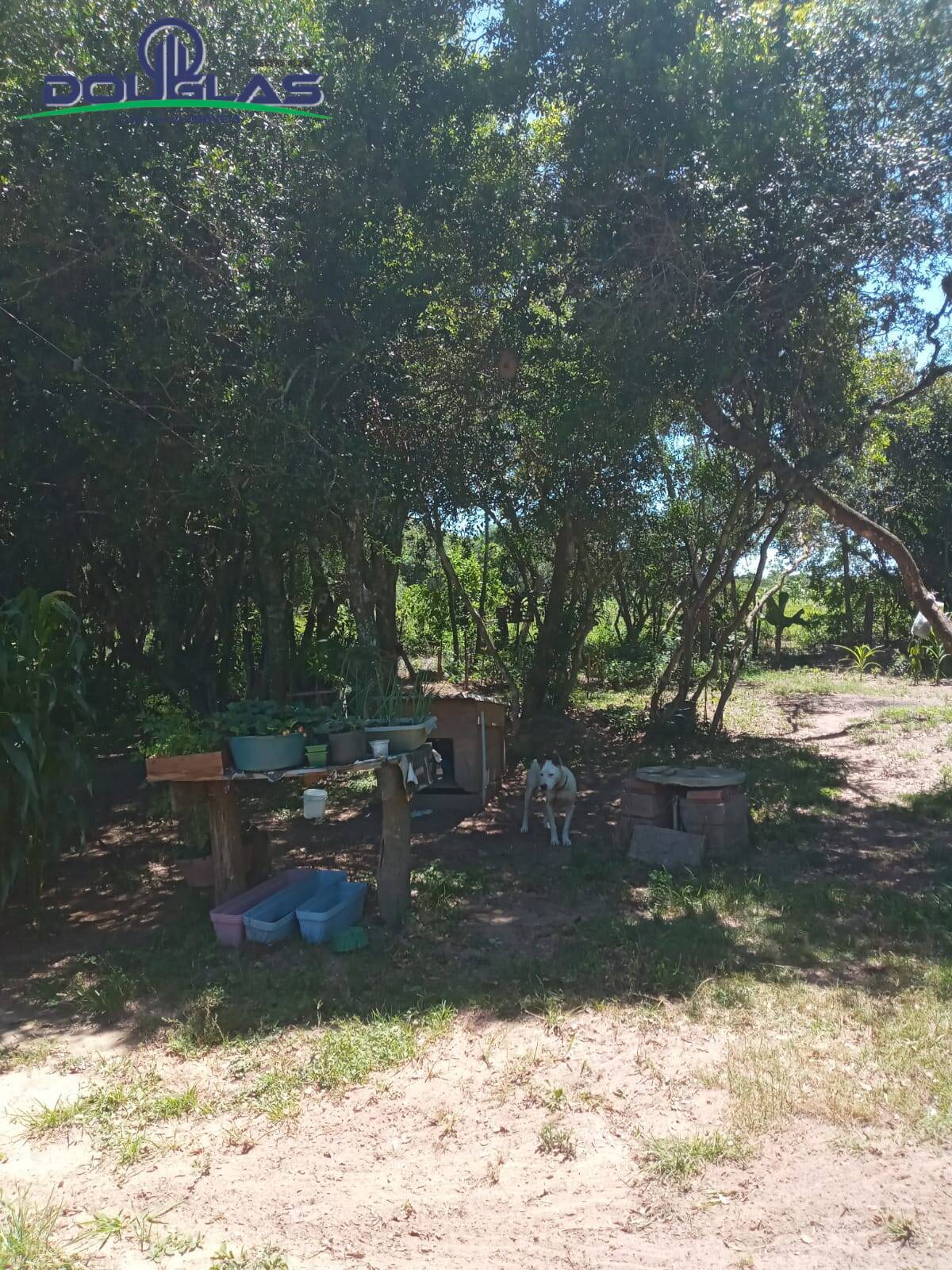 Casa, 2 quartos - Foto 11