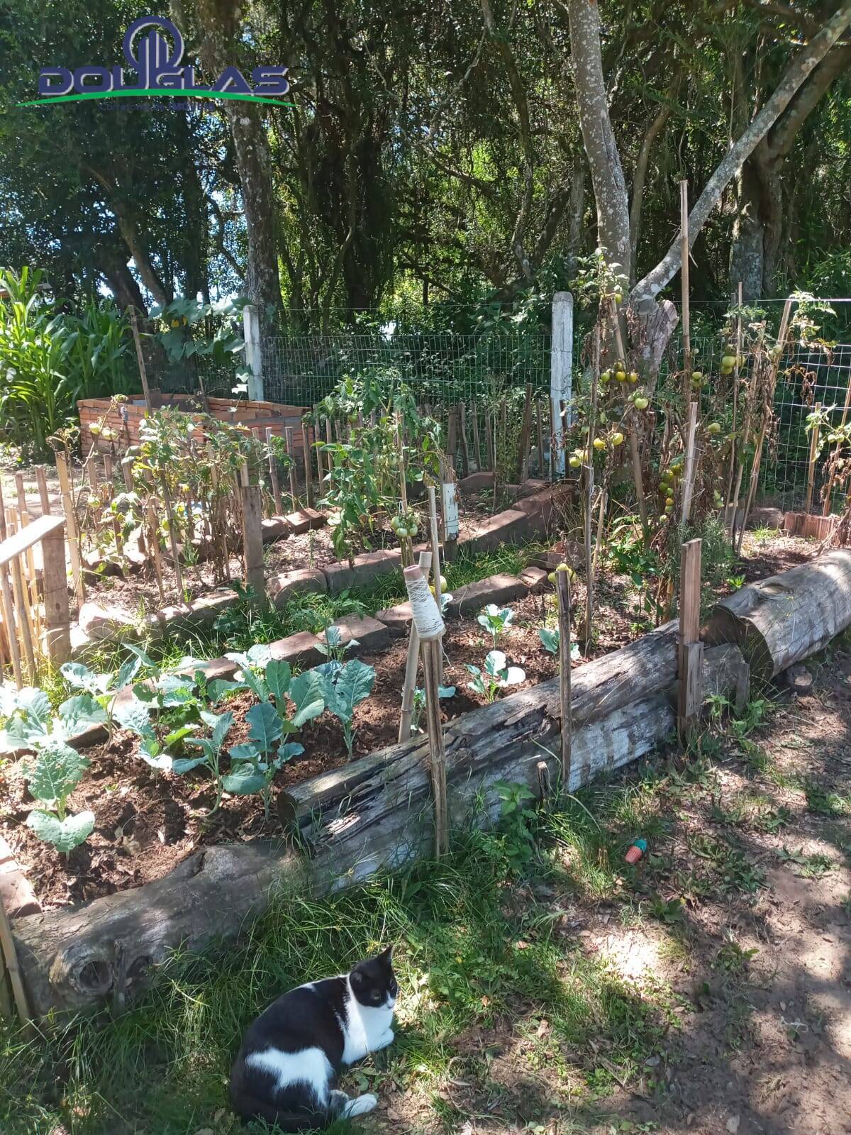 Casa, 2 quartos - Foto 12