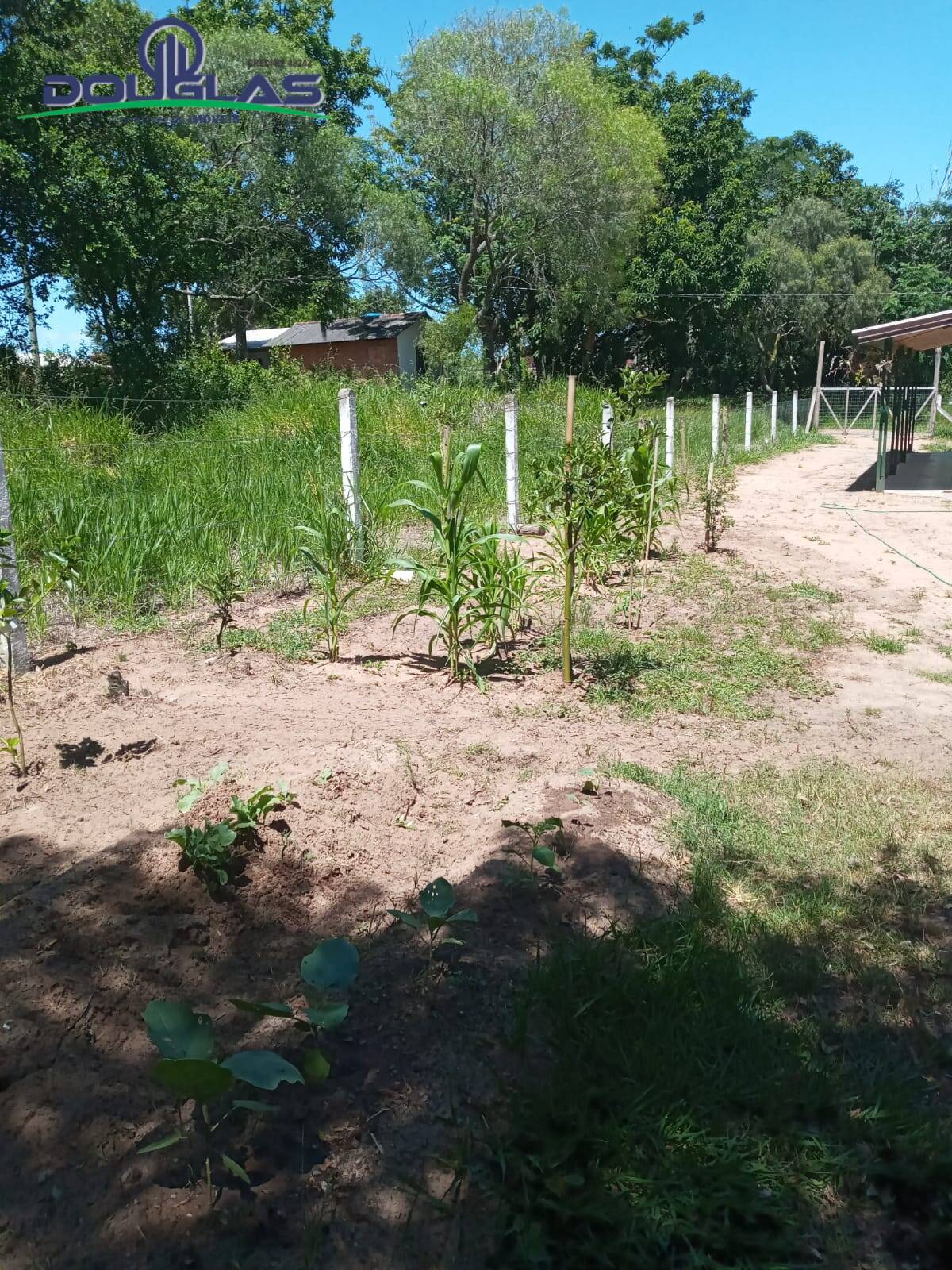 Casa, 2 quartos - Foto 17