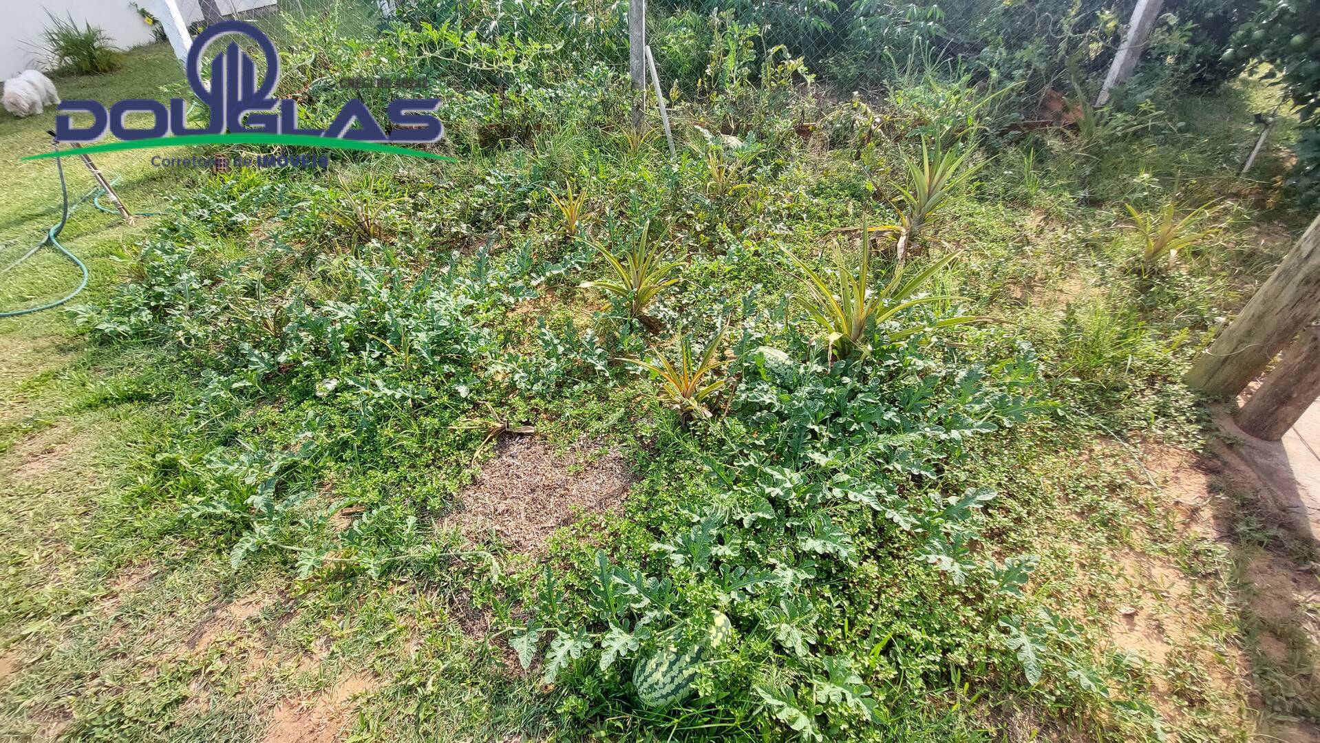 Casa, 2 quartos - Foto 24