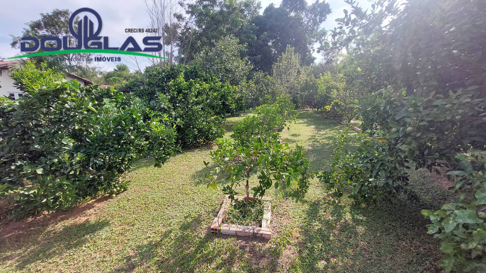 Casa, 2 quartos - Foto 31