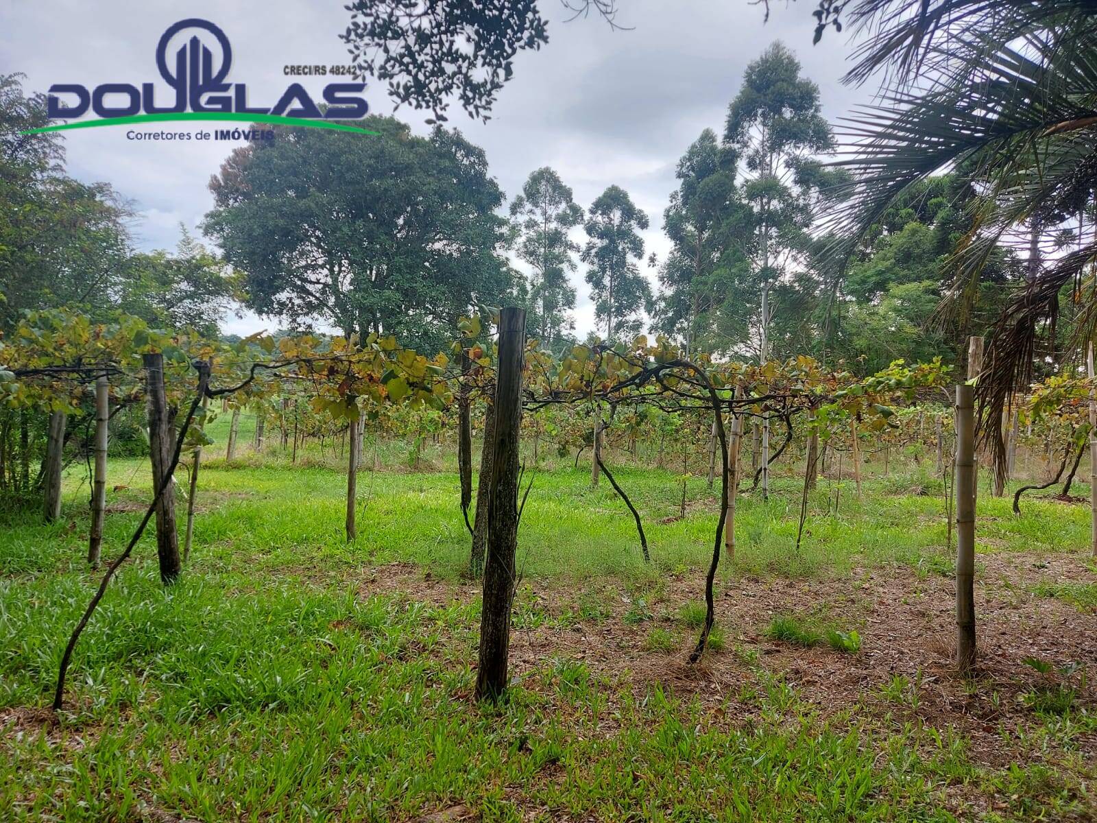 Terreno, 12 m² - Foto 23