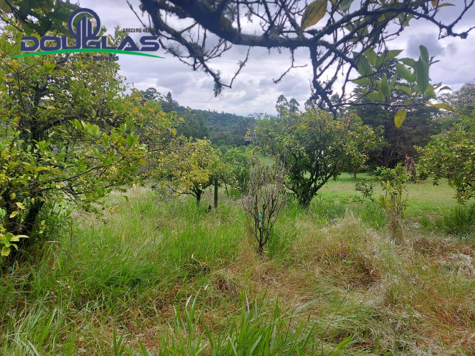 Terreno, 12 m² - Foto 29