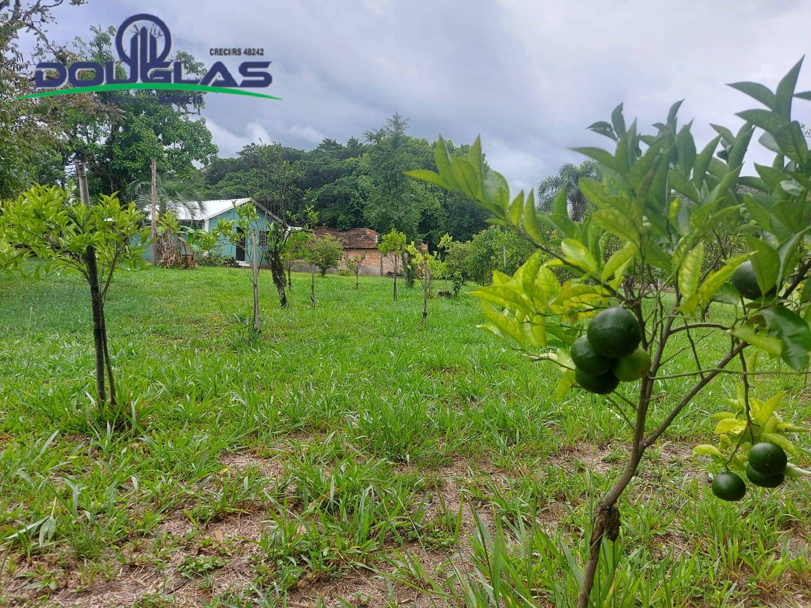 Terreno, 12 m² - Foto 38