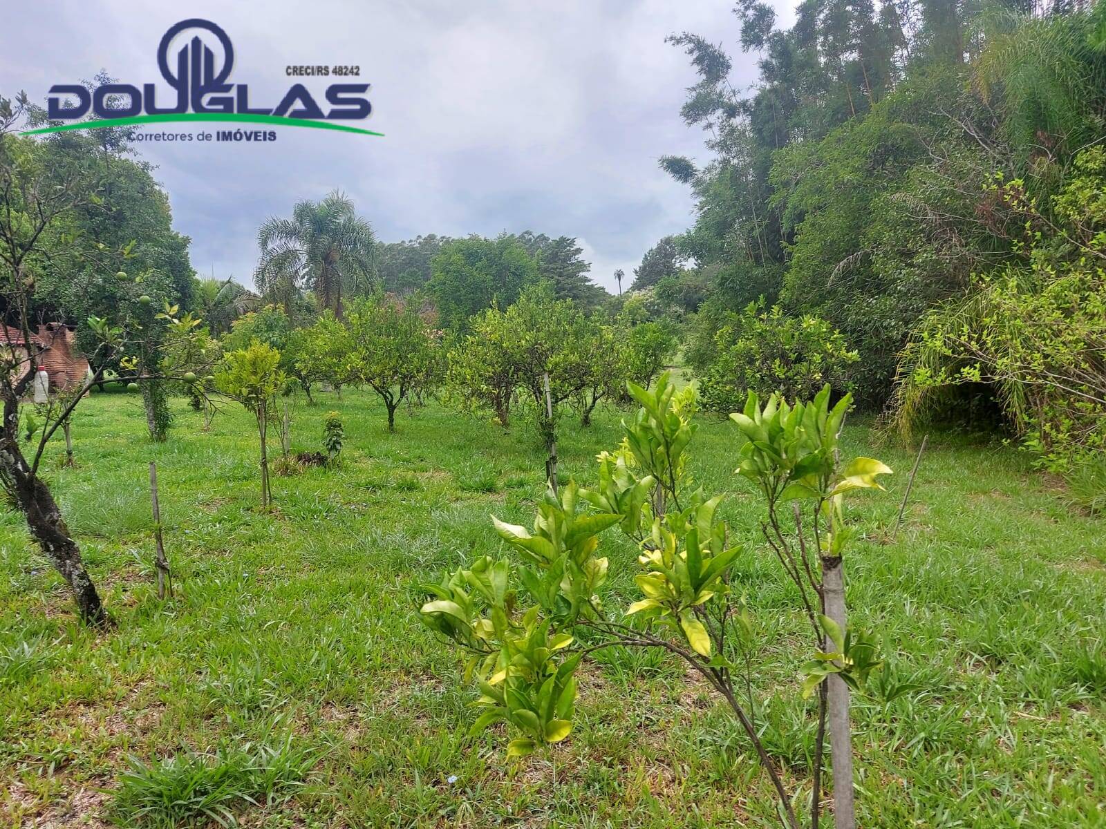 Terreno, 12 m² - Foto 37