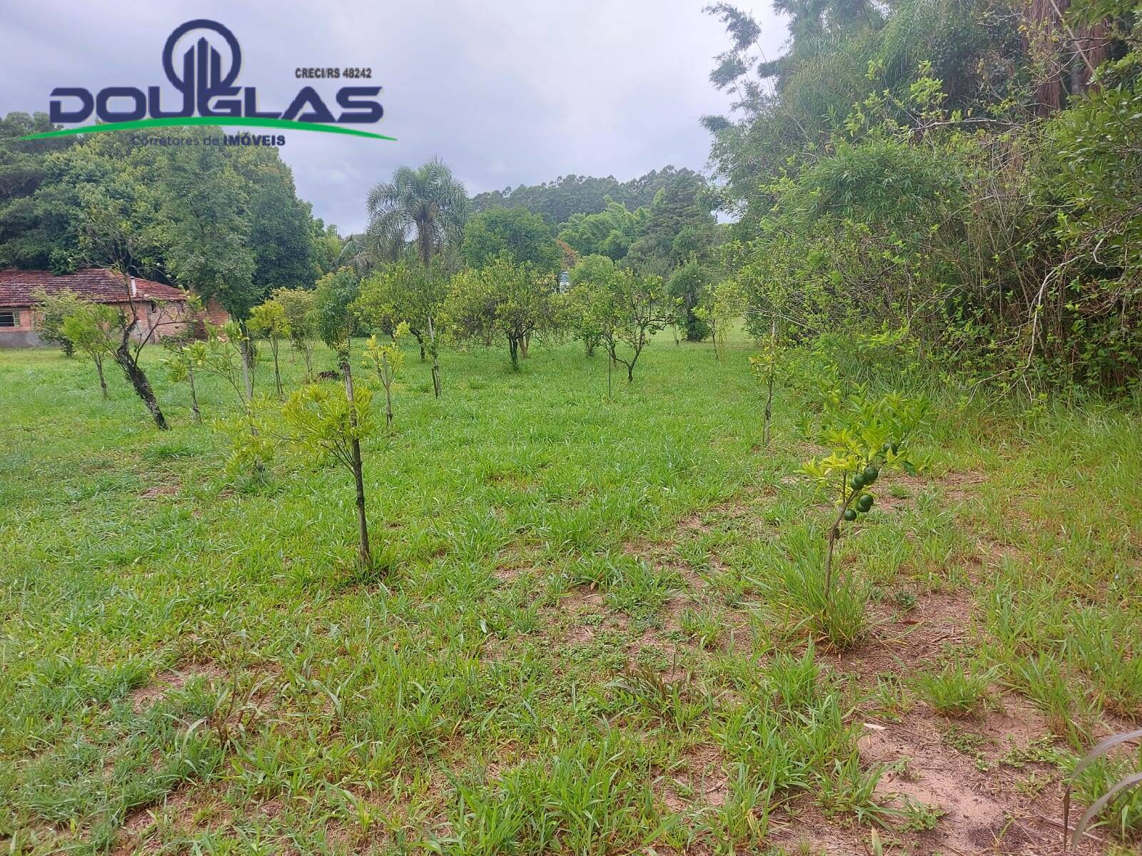 Terreno, 12 m² - Foto 42