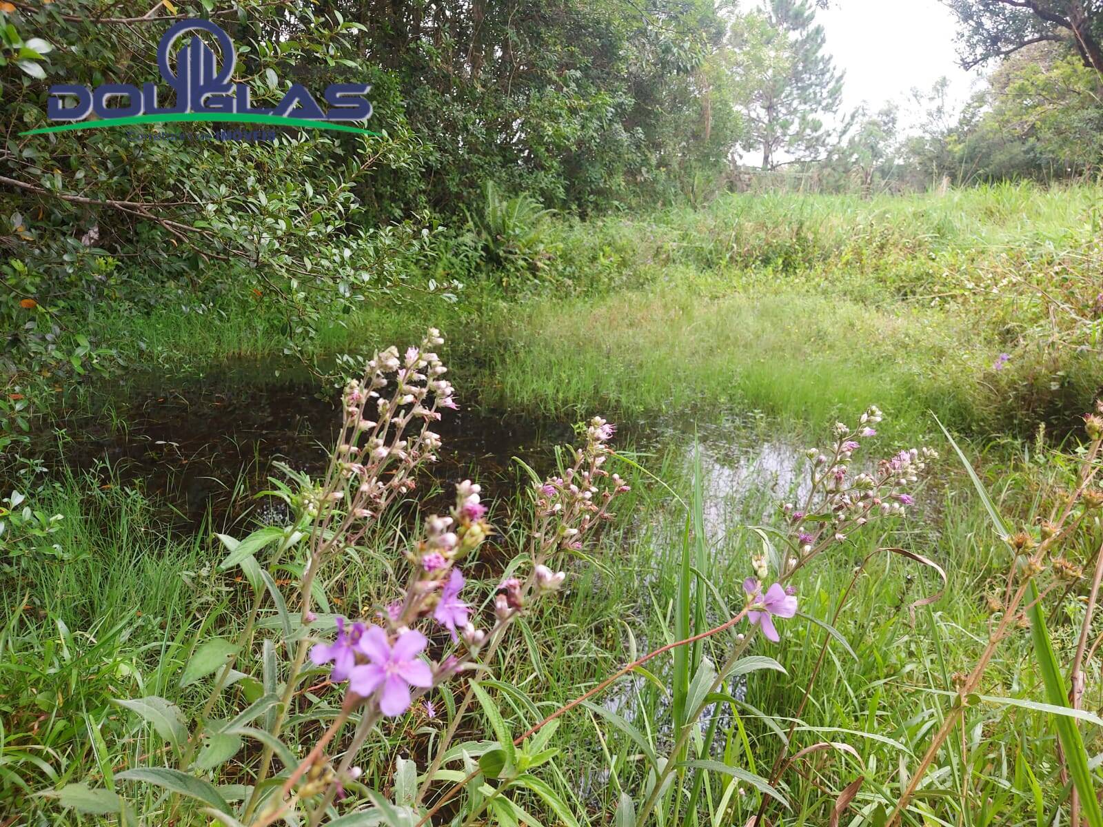 Terreno, 12 m² - Foto 43