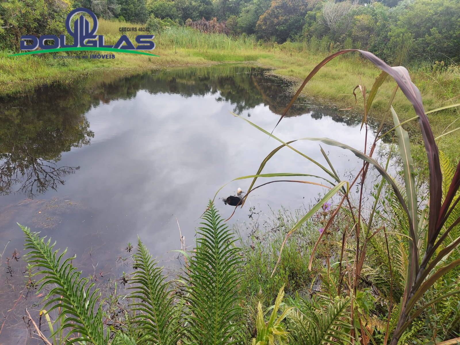 Terreno, 12 m² - Foto 44