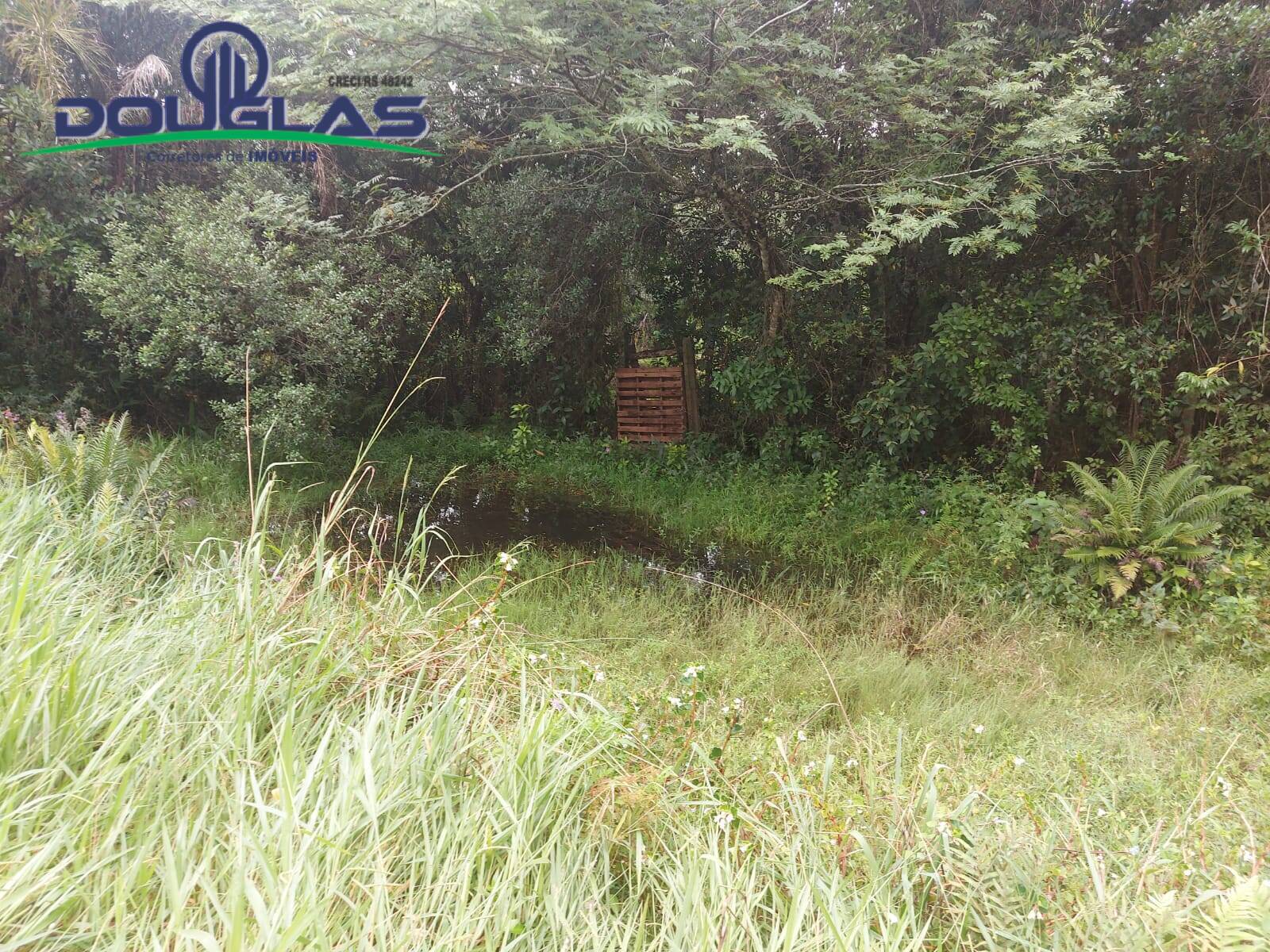 Terreno, 12 m² - Foto 47