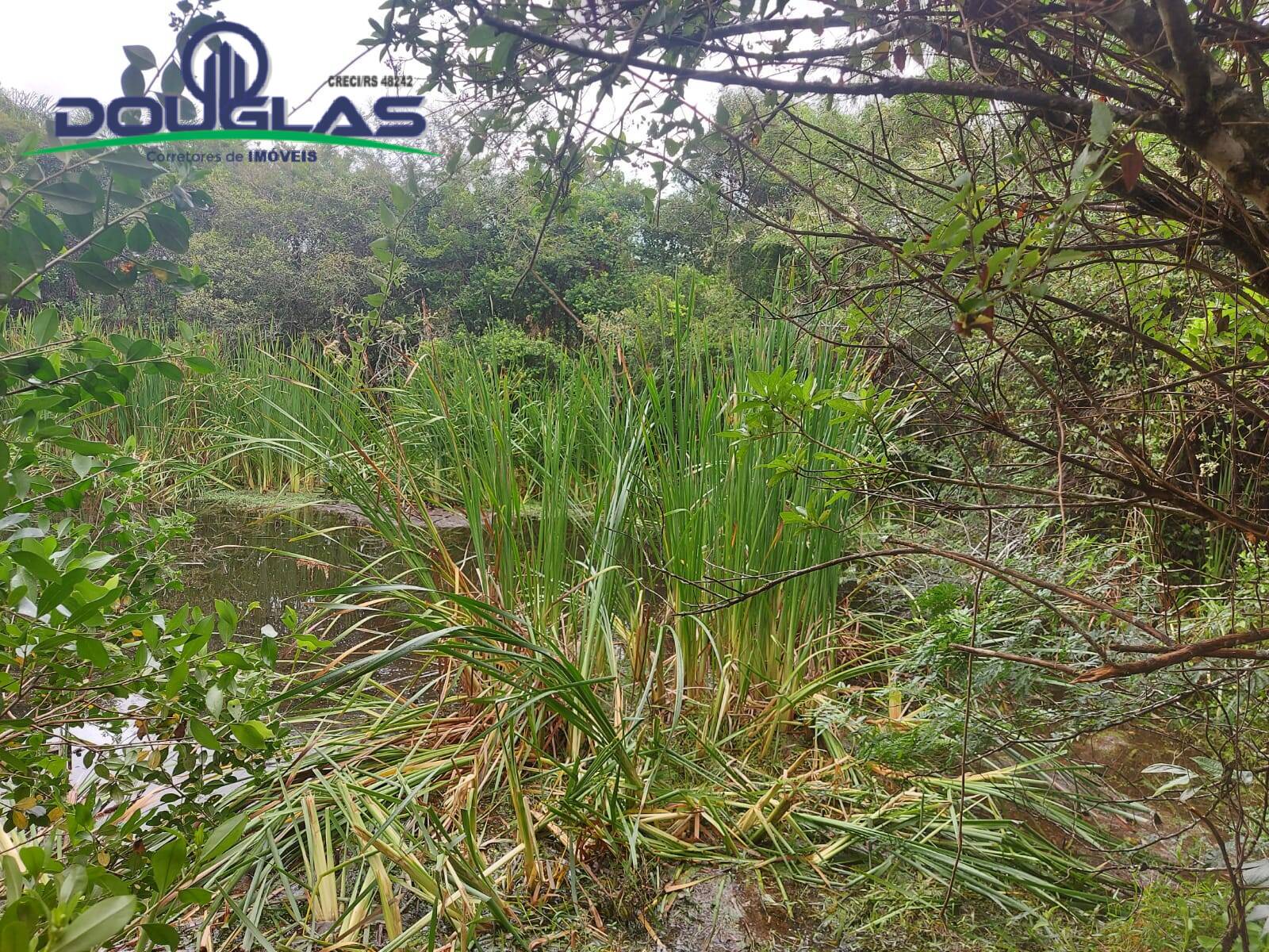 Terreno, 12 m² - Foto 56