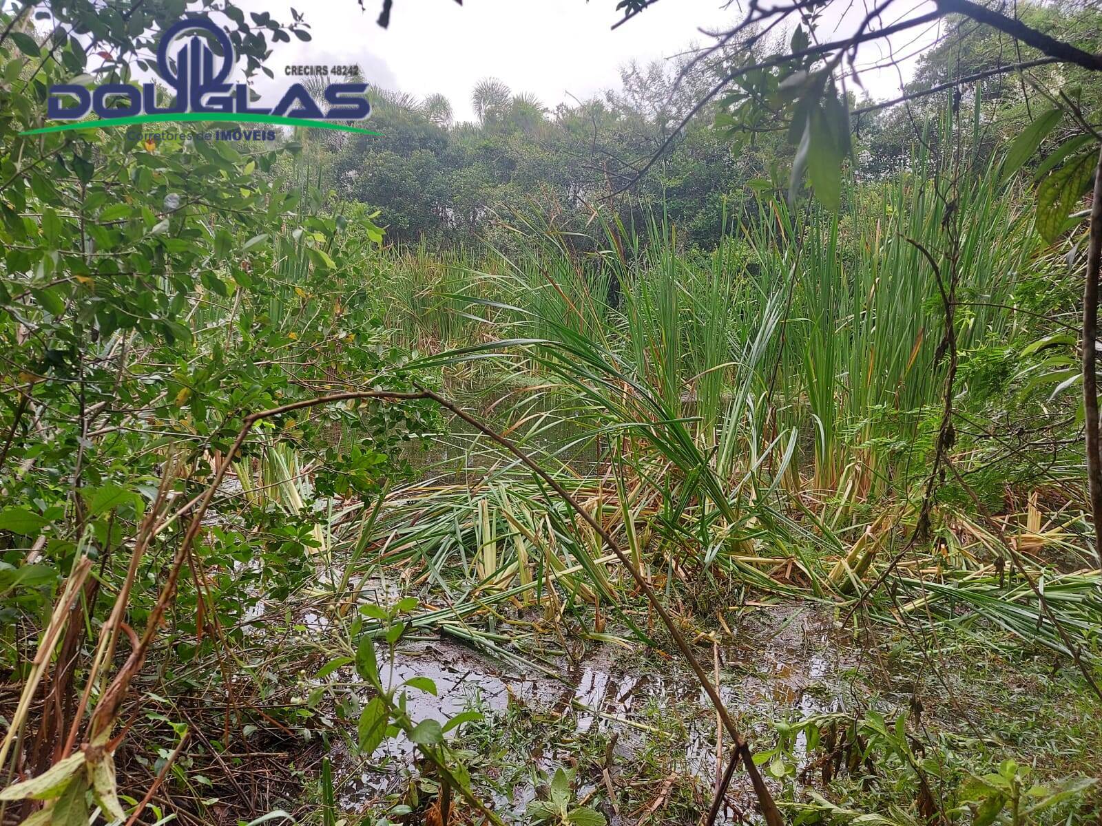 Terreno, 12 m² - Foto 57