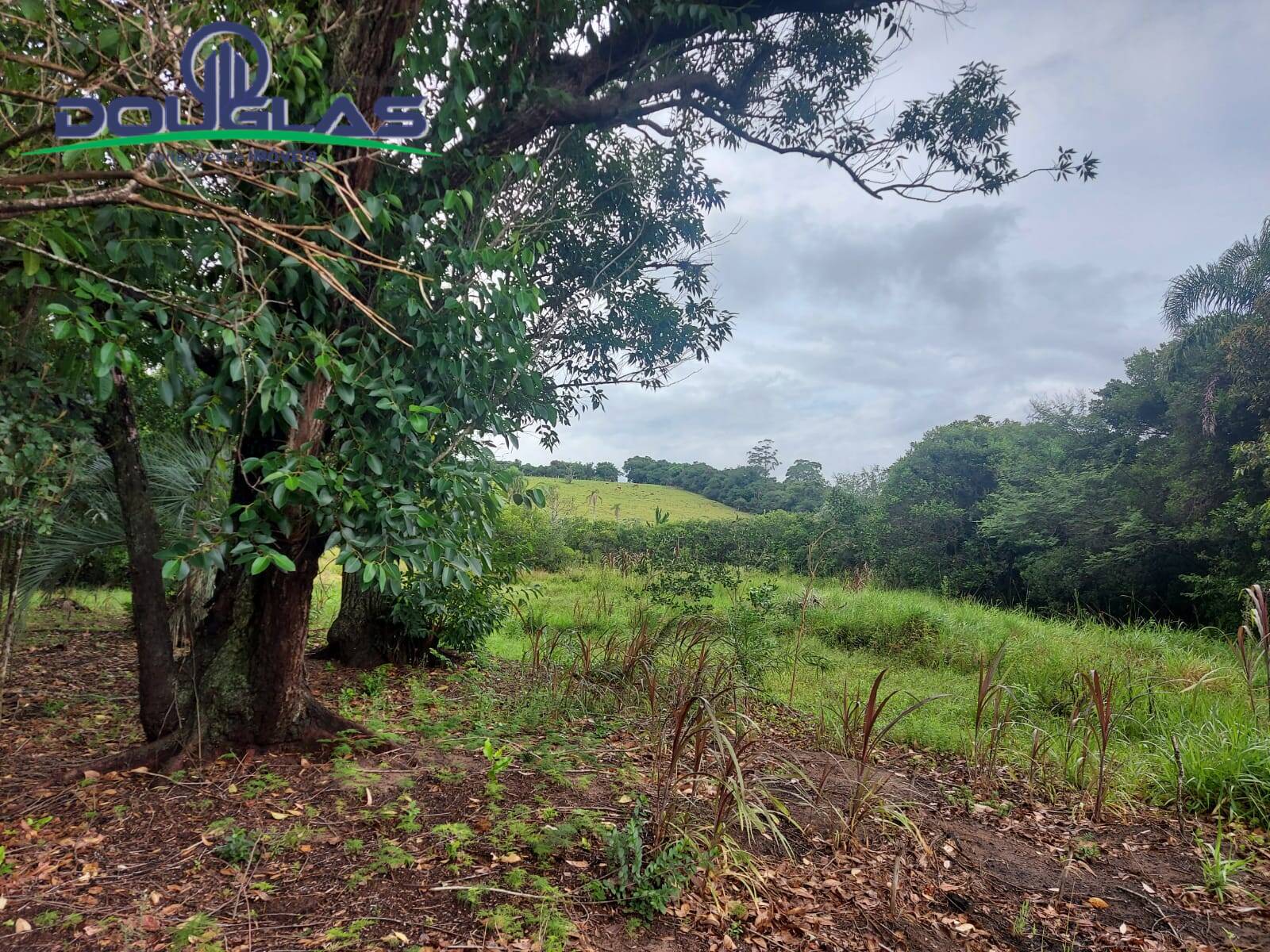 Terreno, 12 m² - Foto 59