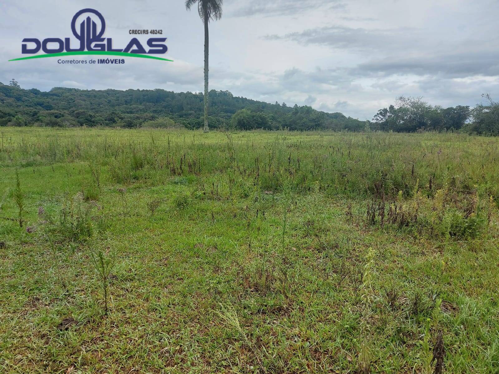 Terreno, 12 m² - Foto 60