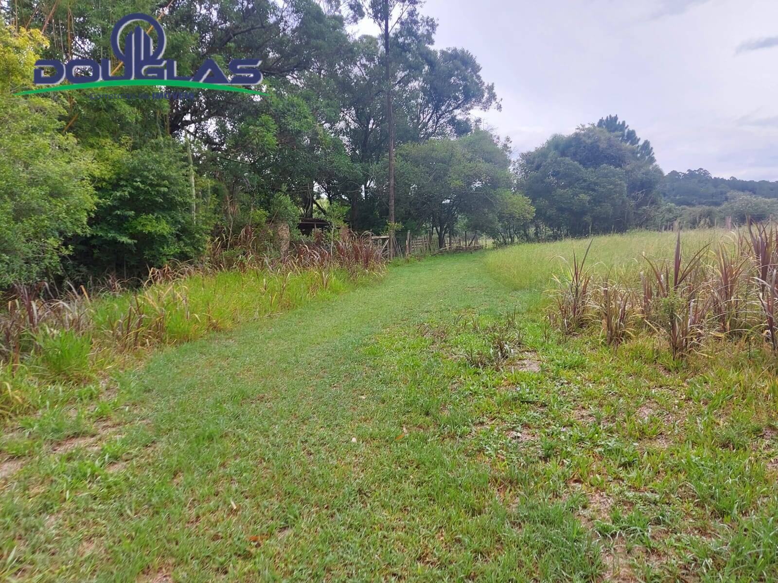 Terreno, 12 m² - Foto 62