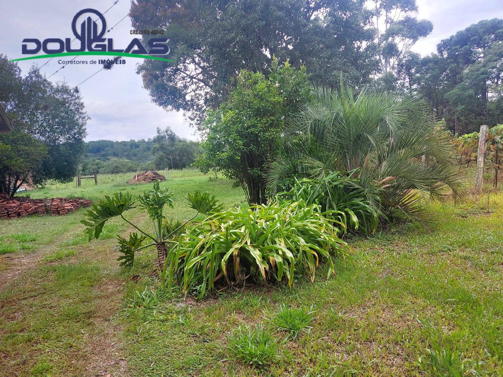 Terreno, 12 m² - Foto 64