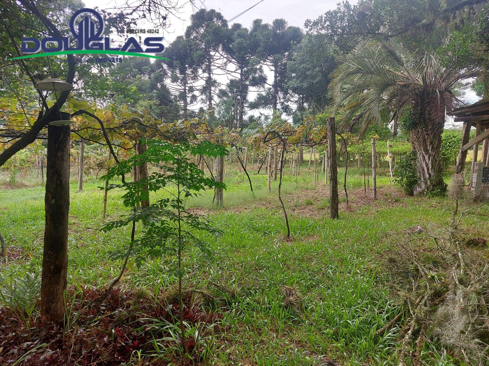 Terreno, 12 m² - Foto 68