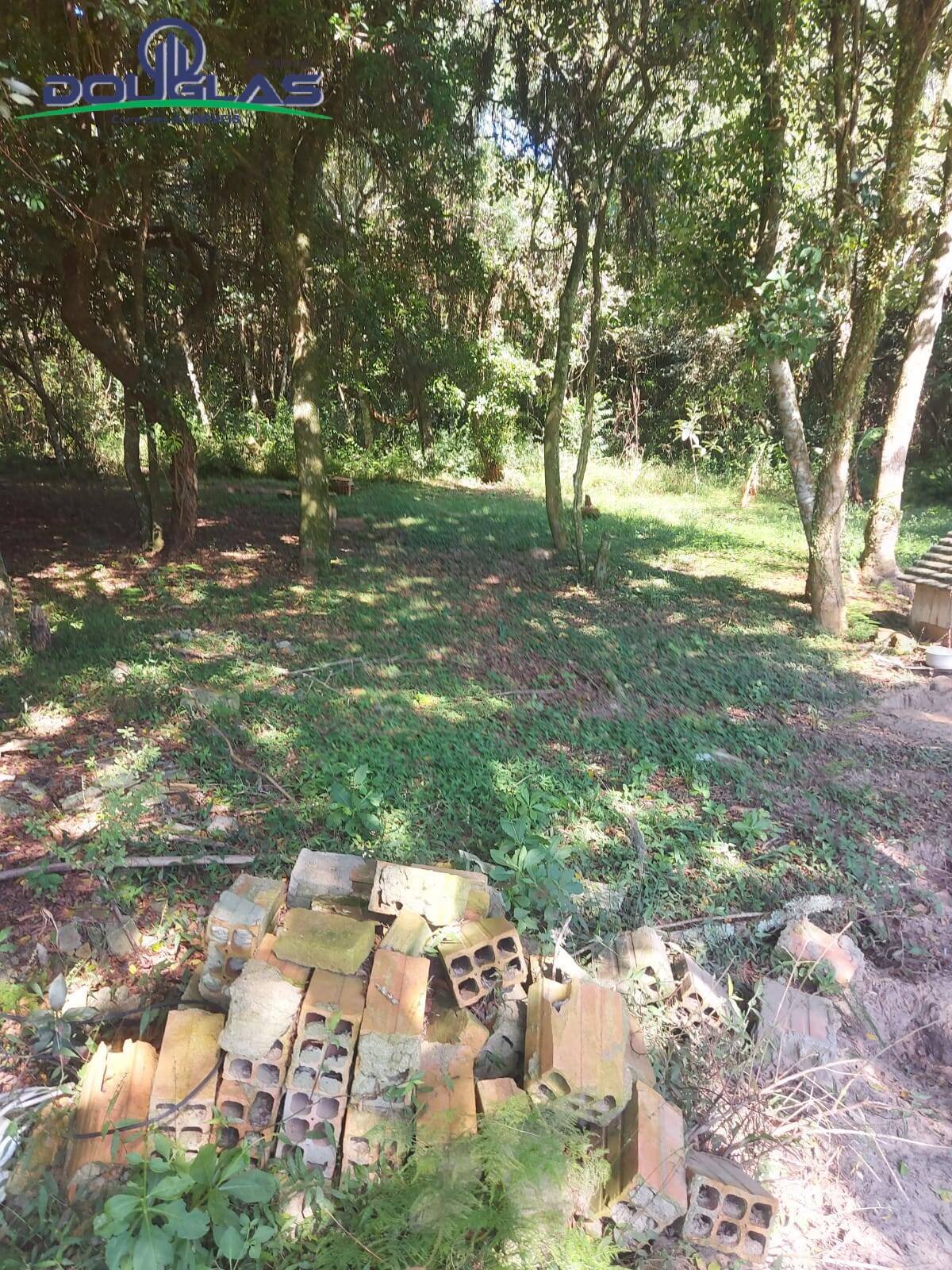 Terreno, 8000 m² - Foto 7