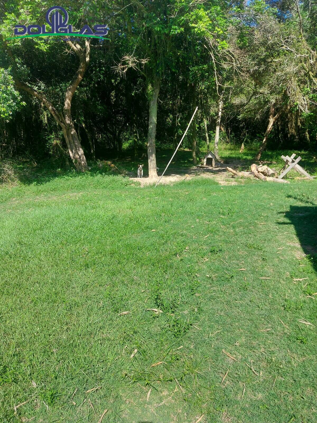 Terreno, 8000 m² - Foto 10