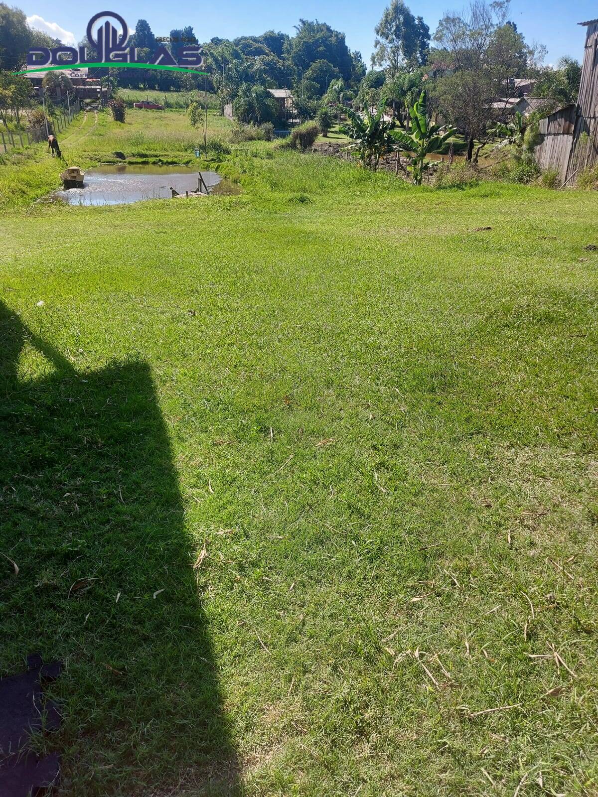 Terreno, 8000 m² - Foto 5