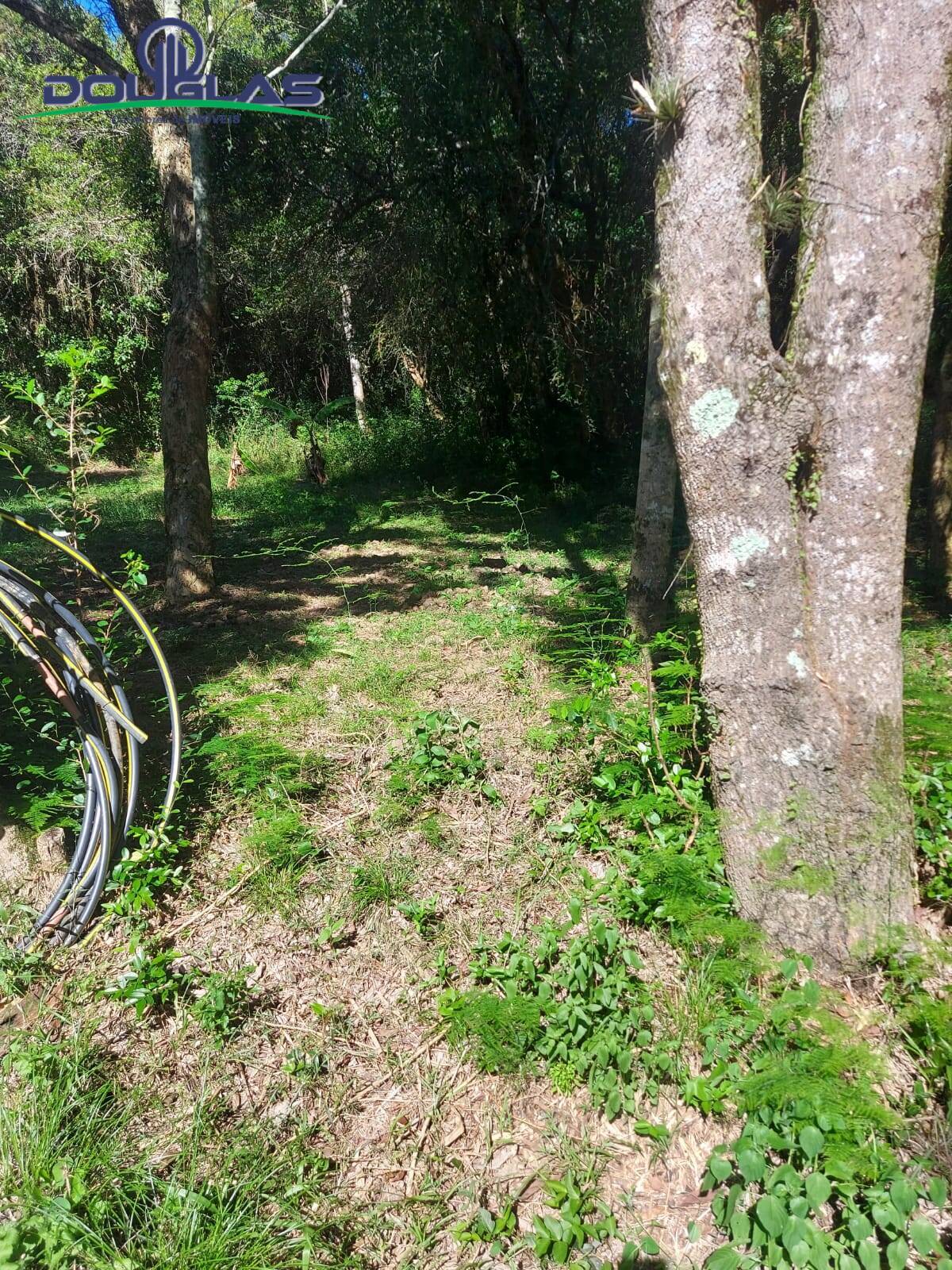 Terreno, 8000 m² - Foto 11