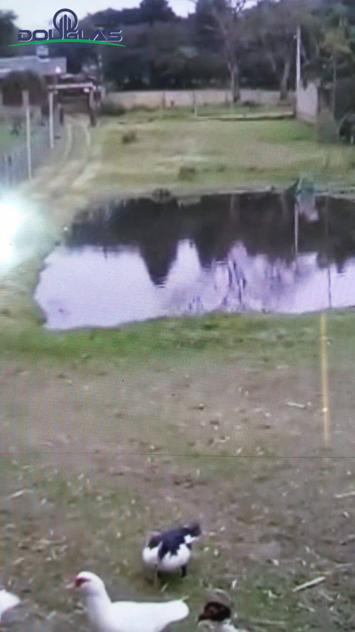 Terreno, 8000 m² - Foto 12