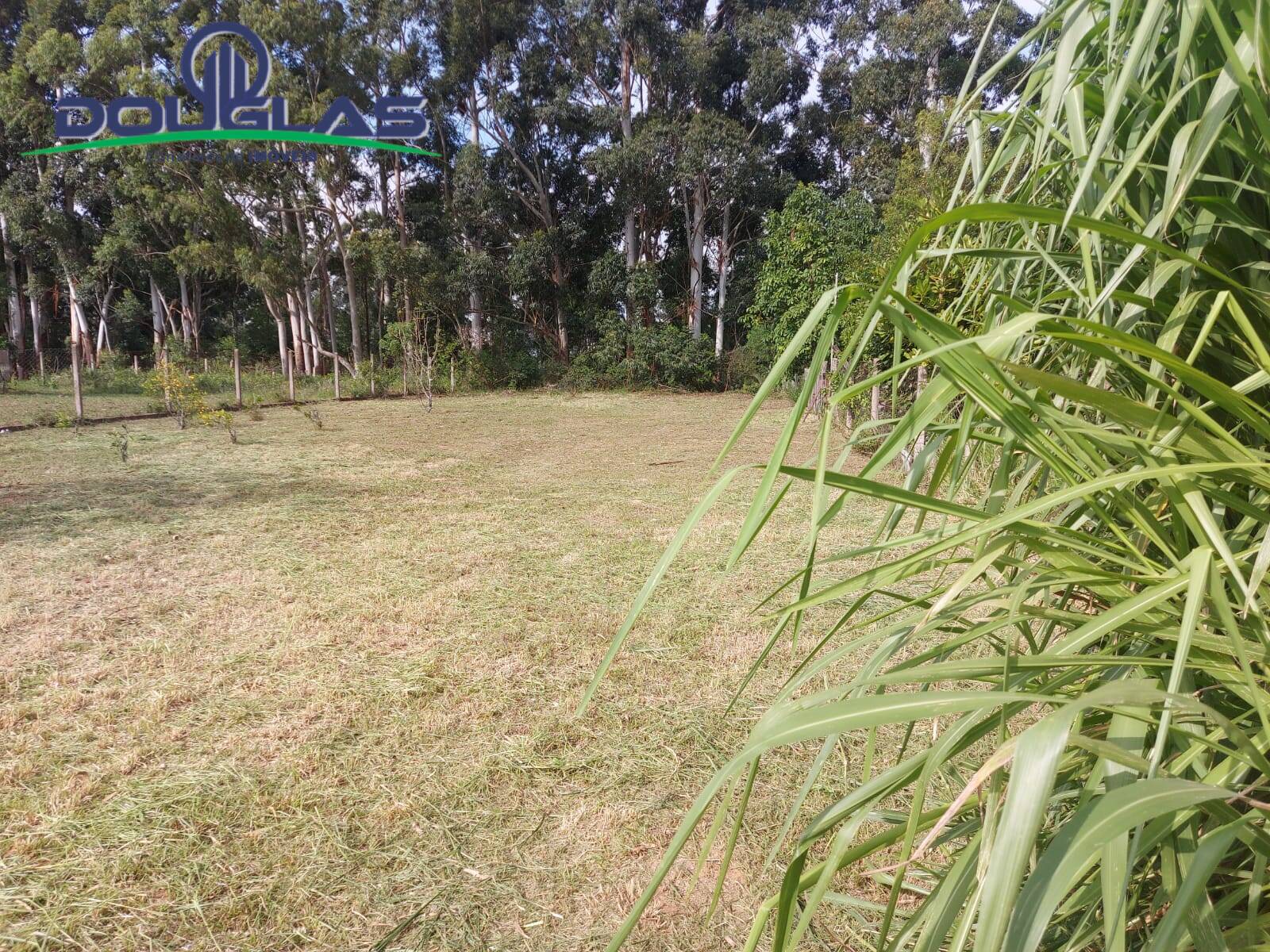 Terreno, 700 m² - Foto 1