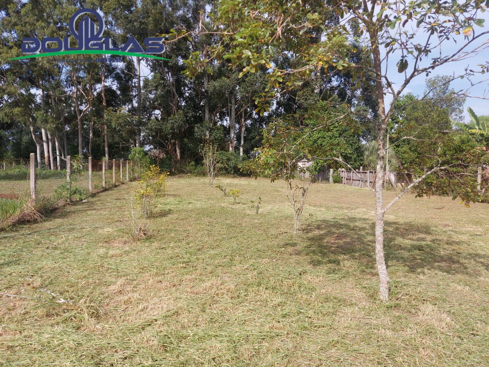 Terreno, 700 m² - Foto 7