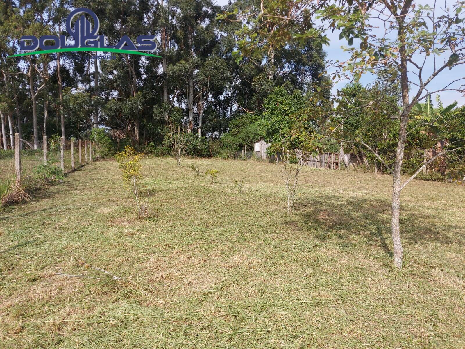 Terreno, 700 m² - Foto 8