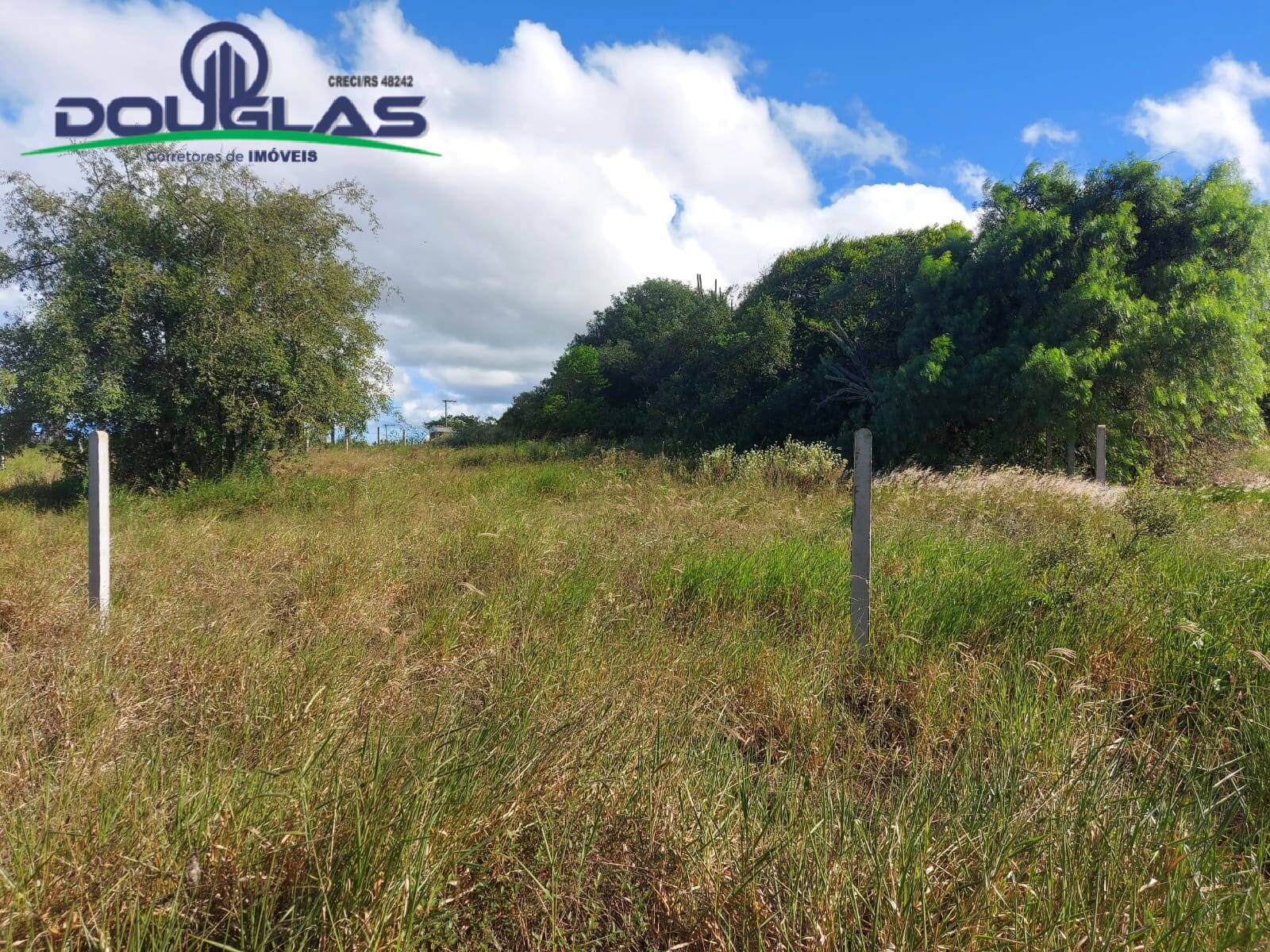 Terreno, 1000 m² - Foto 3