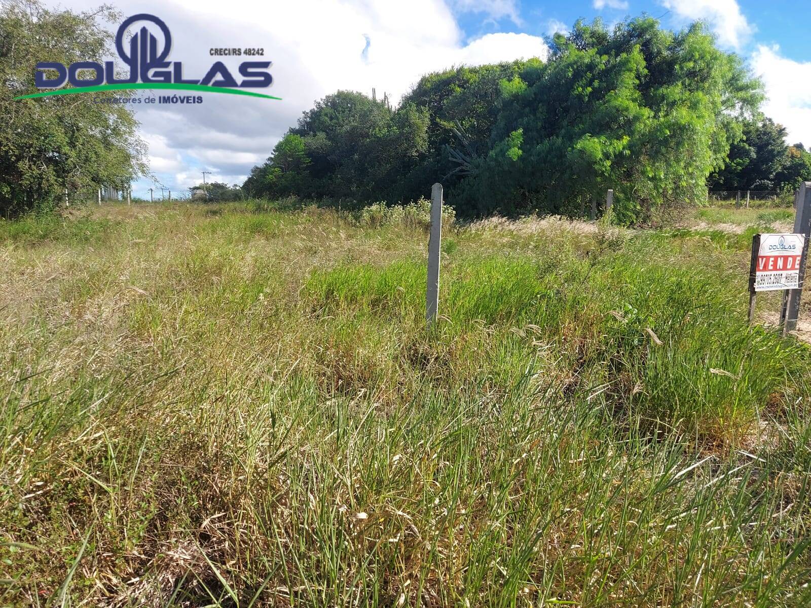 Terreno, 1000 m² - Foto 4