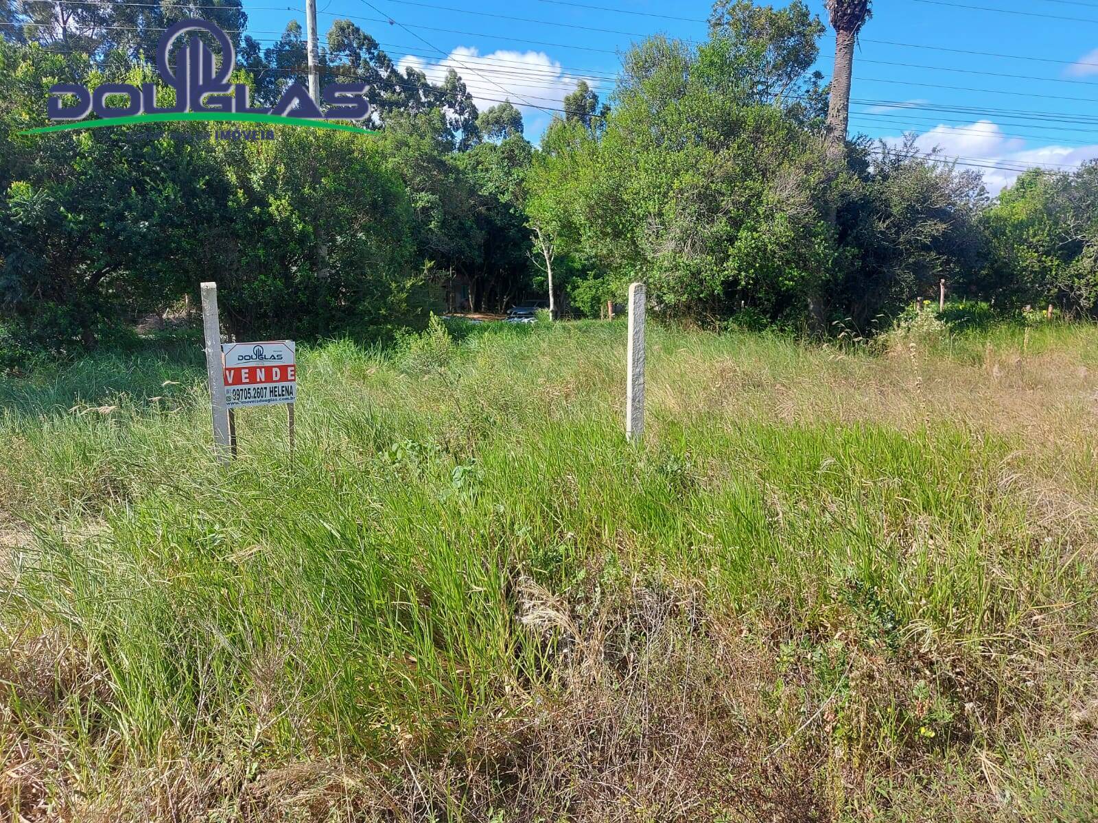 Terreno, 1000 m² - Foto 5