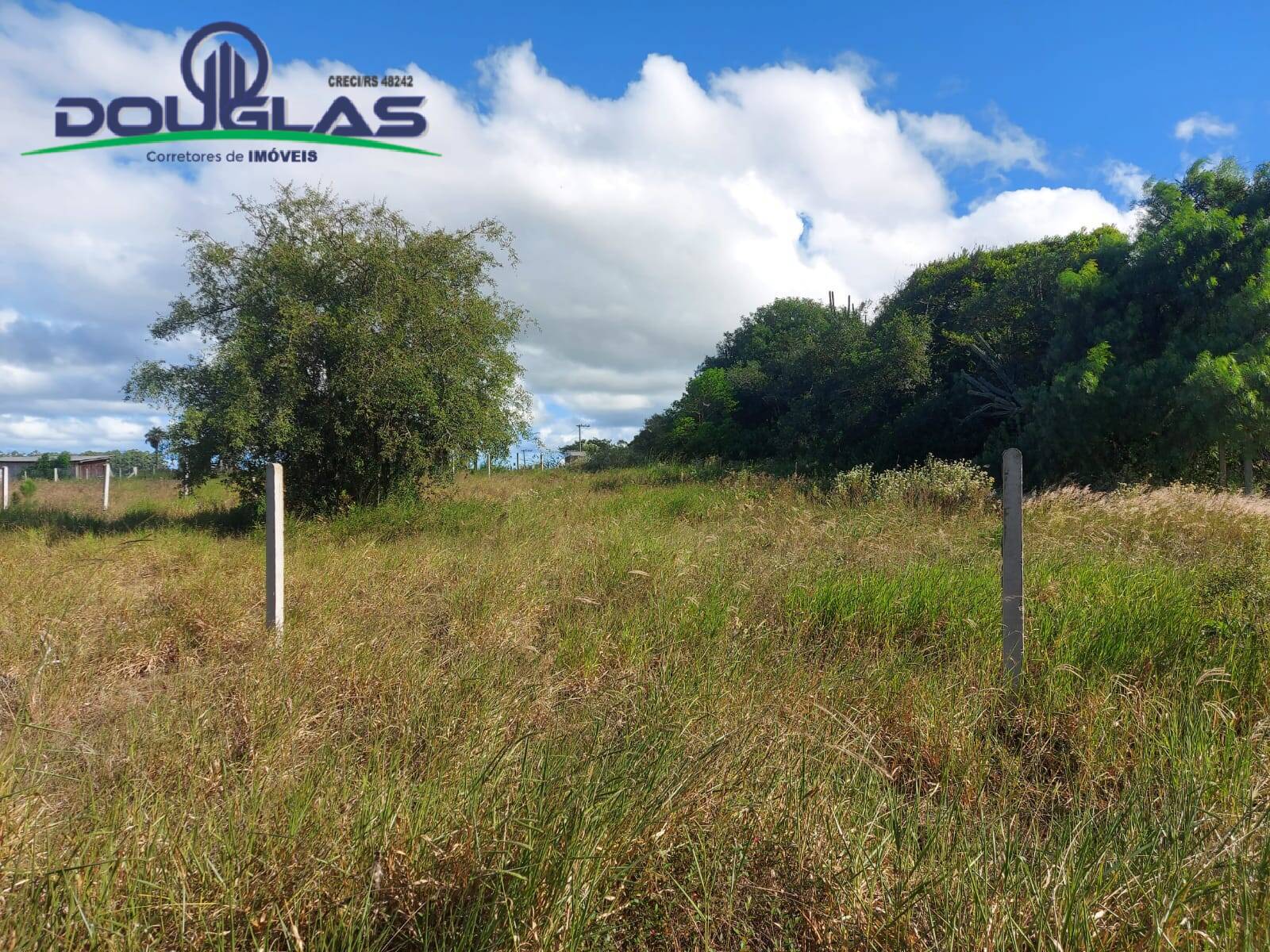 Terreno, 1000 m² - Foto 6