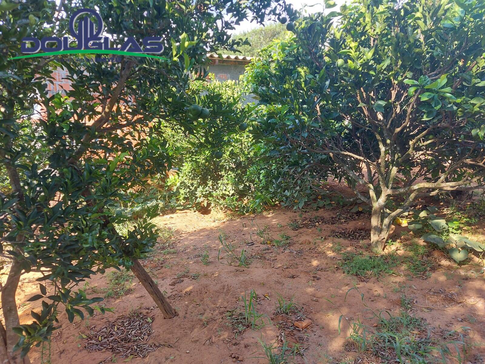 Casa, 4 quartos - Foto 18