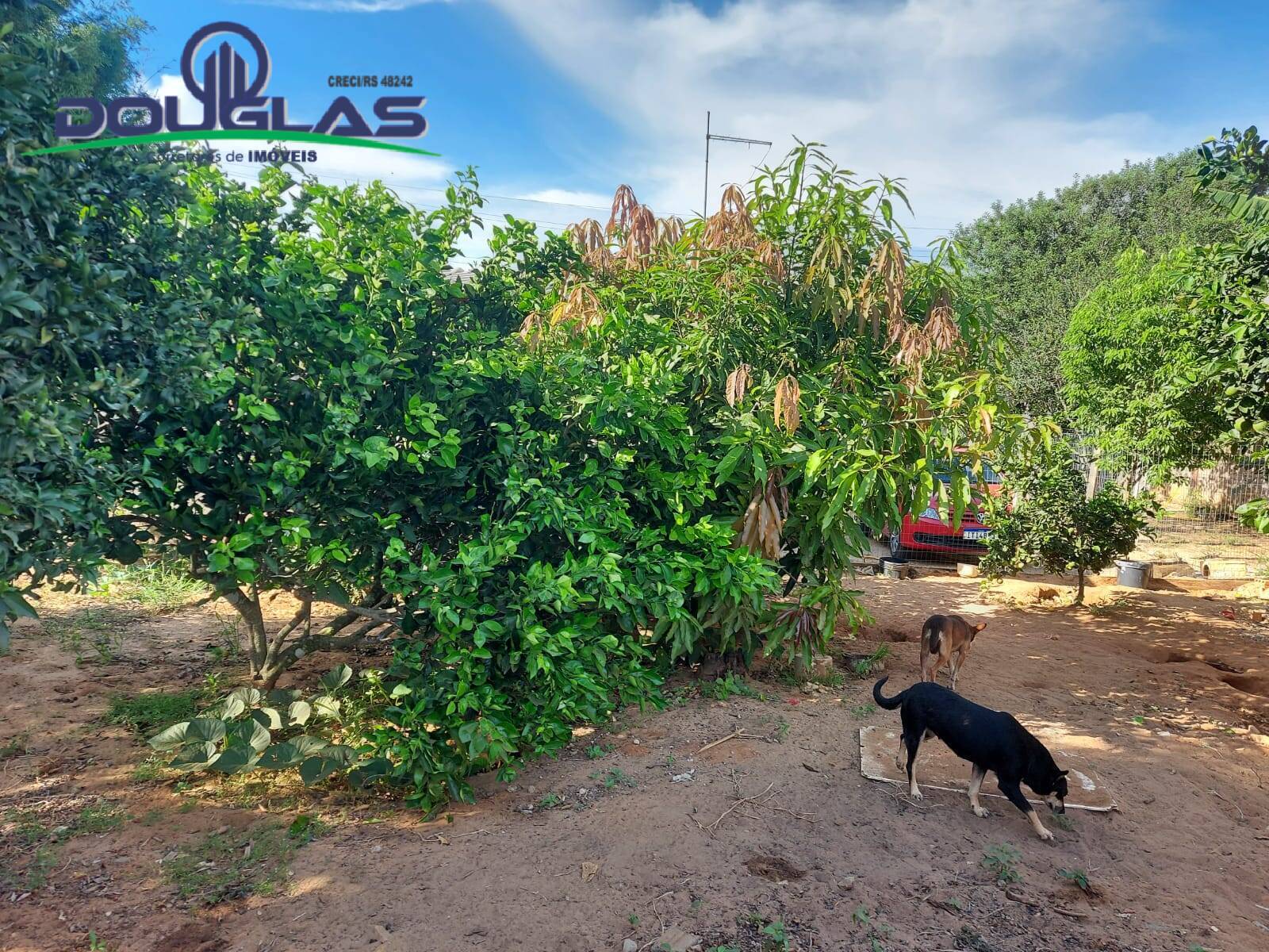 Casa, 4 quartos - Foto 19