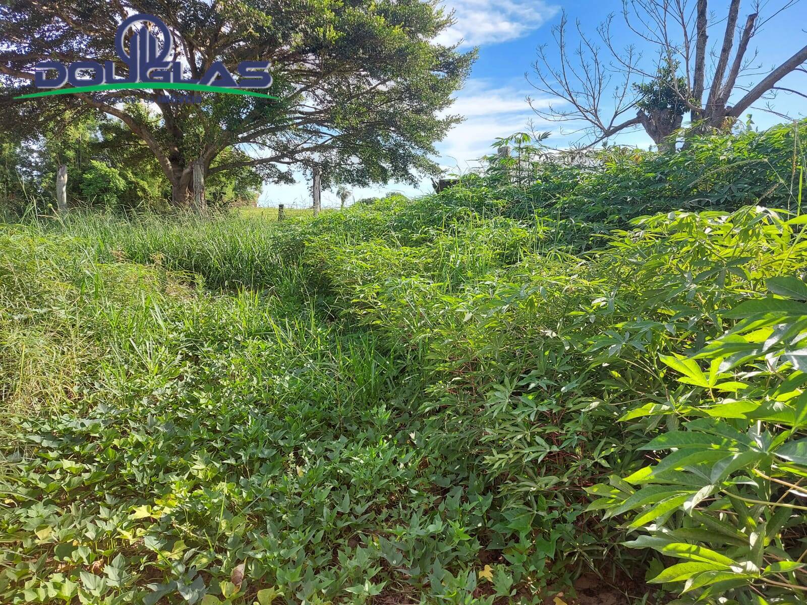 Terreno, 450 m² - Foto 4