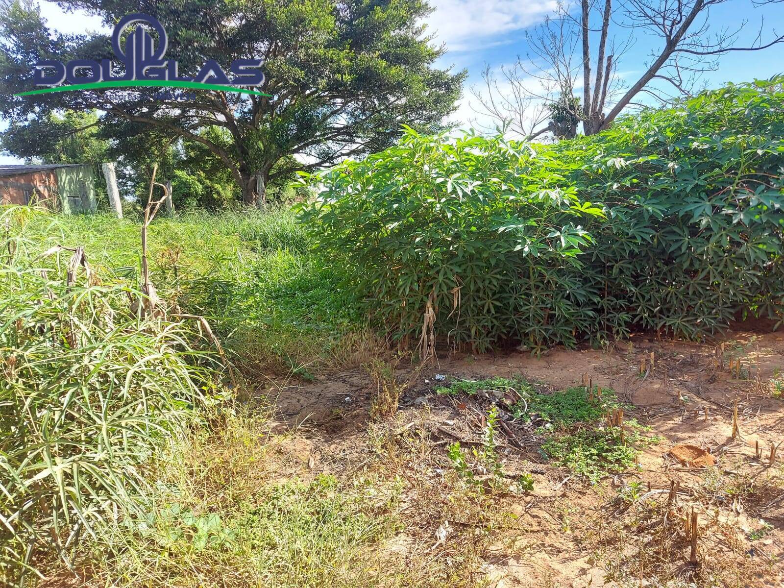 Terreno, 450 m² - Foto 6