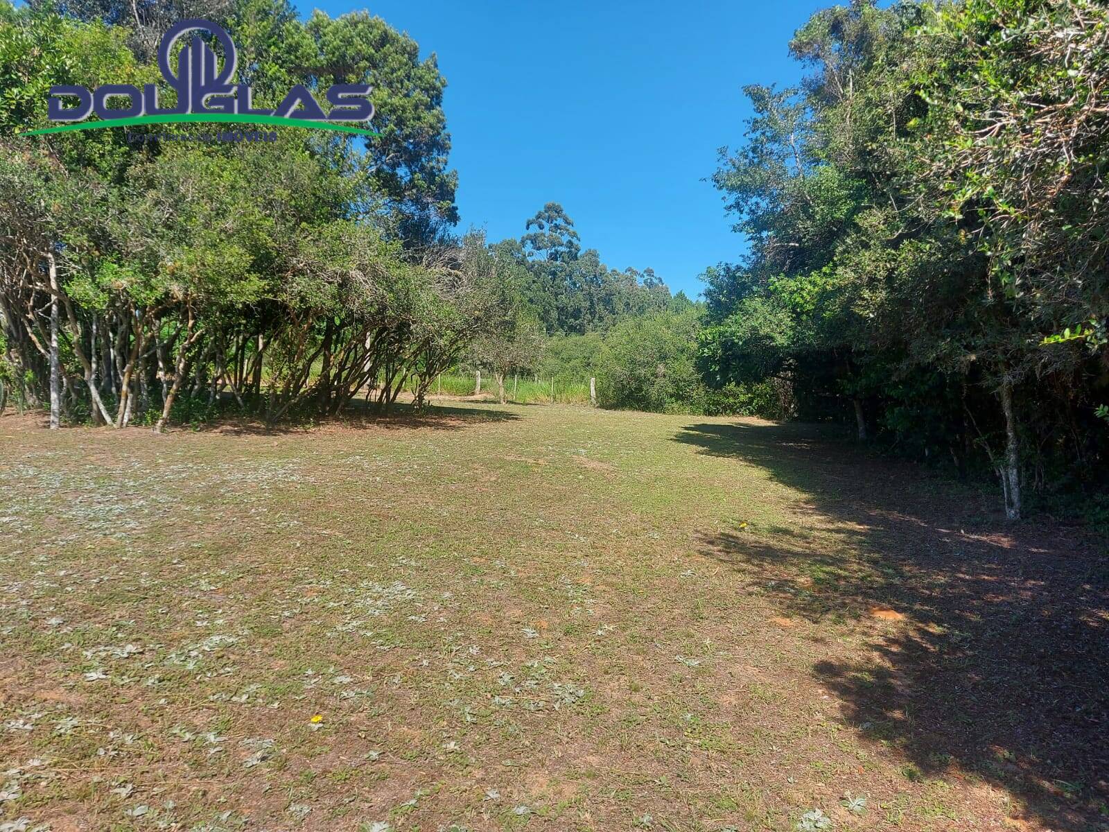 Sítio, 2 quartos, 1 hectares - Foto 7