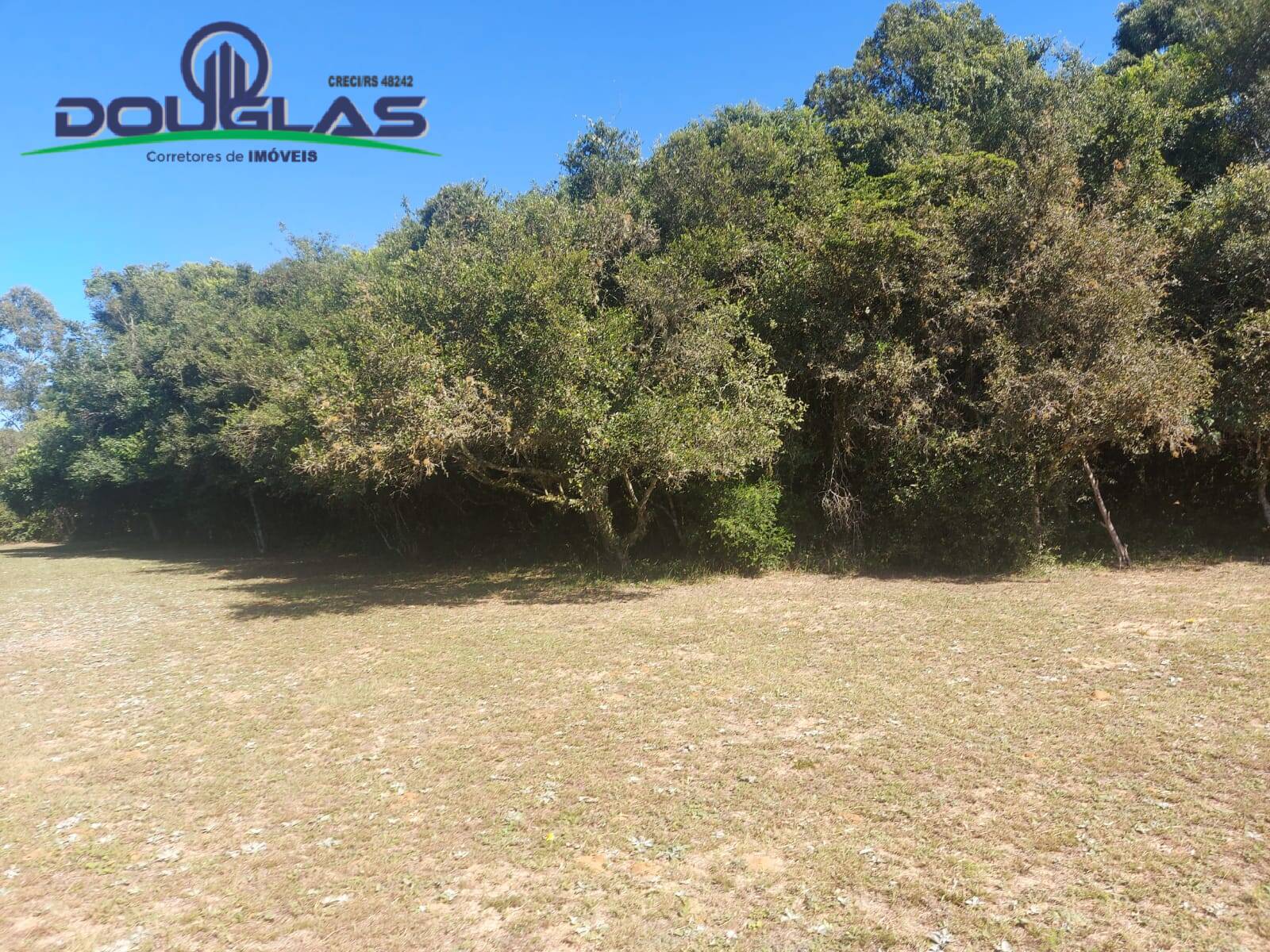 Sítio, 2 quartos, 1 hectares - Foto 11