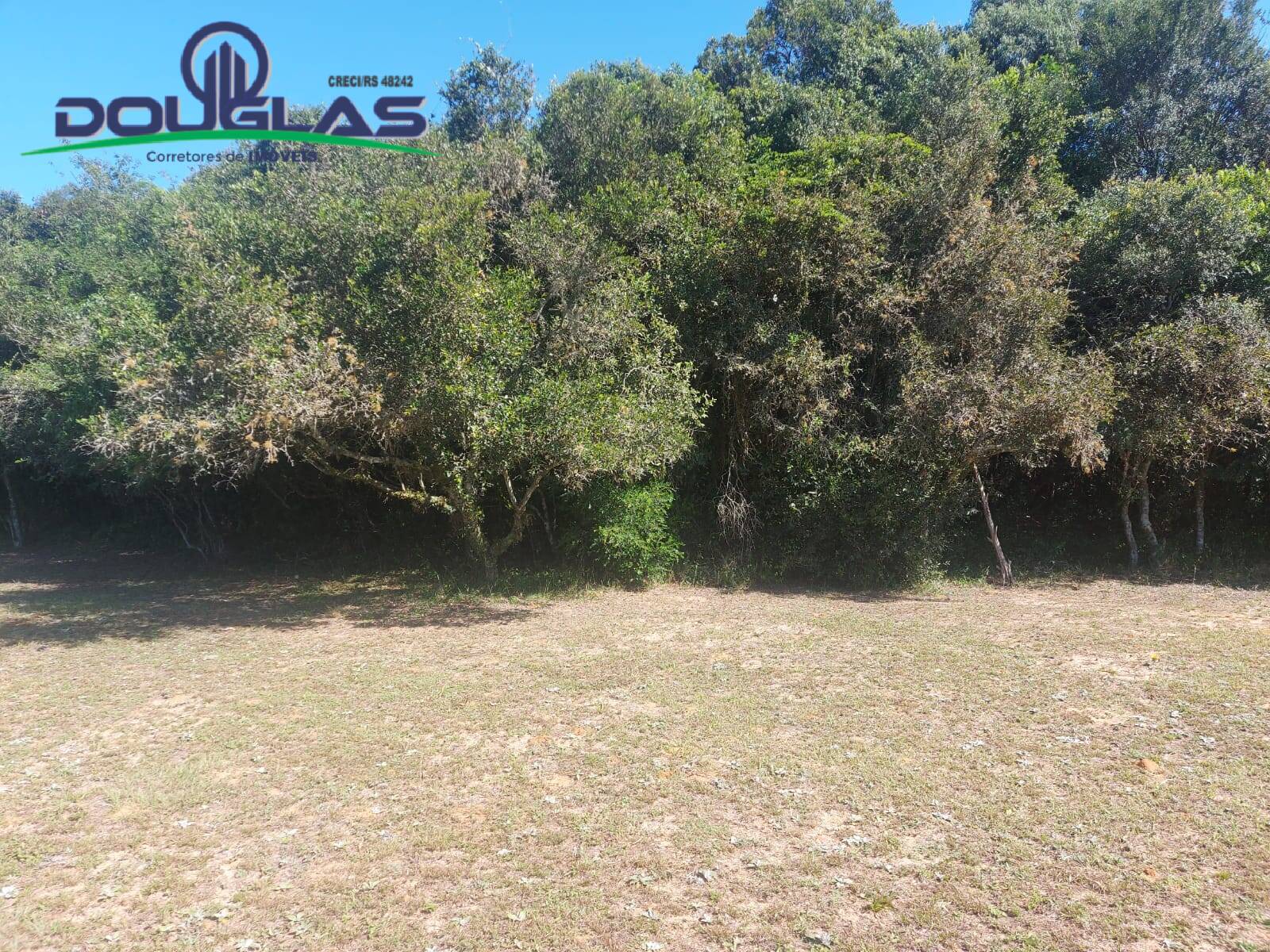 Sítio, 2 quartos, 1 hectares - Foto 12