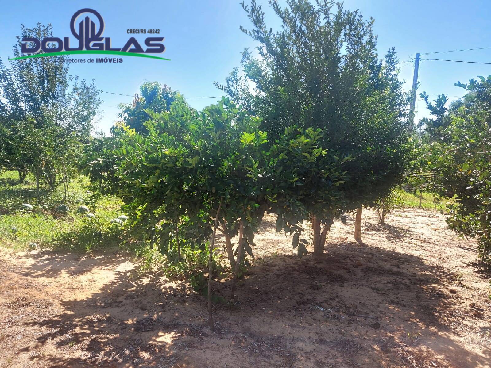 Sítio, 2 quartos, 1 hectares - Foto 13