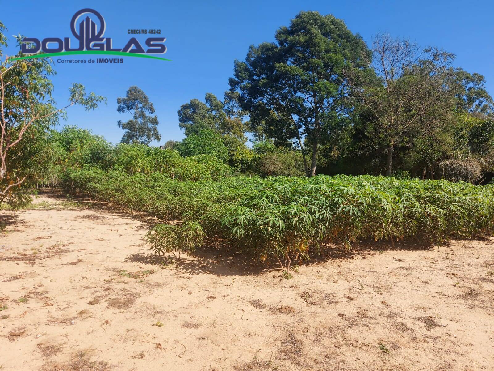 Sítio, 2 quartos, 1 hectares - Foto 14