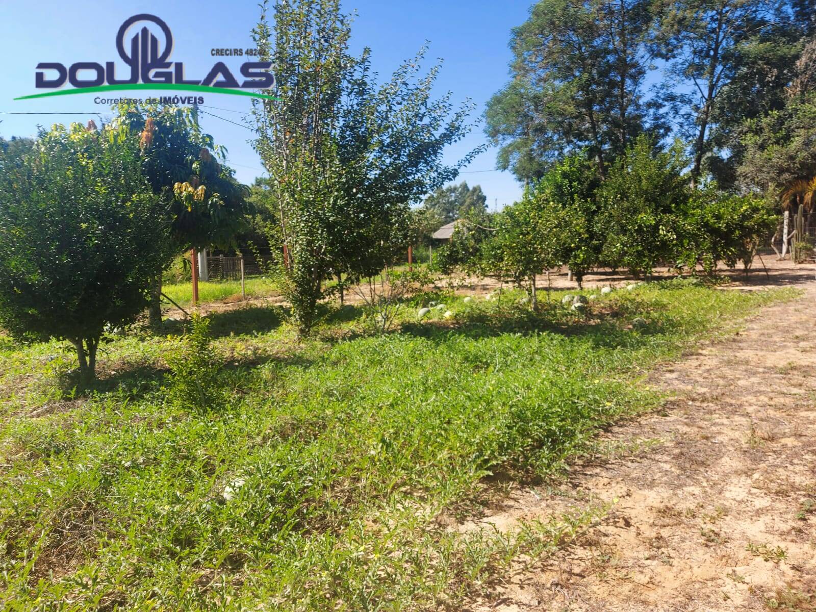 Sítio, 2 quartos, 1 hectares - Foto 16