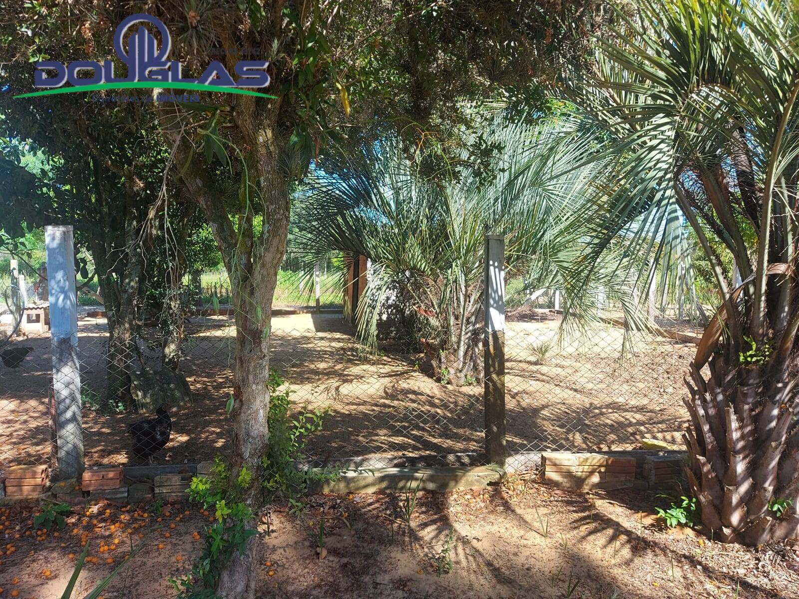 Sítio, 2 quartos, 1 hectares - Foto 19