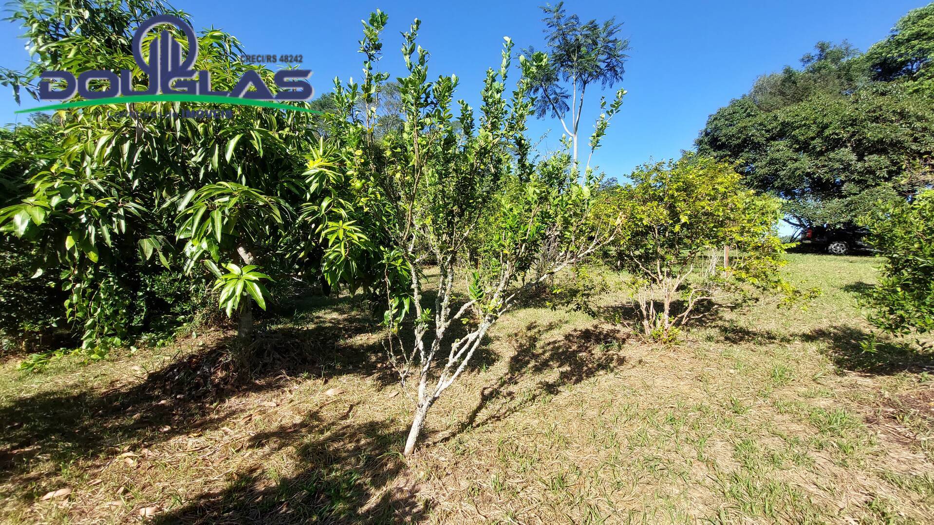 Casa, 2 quartos - Foto 15