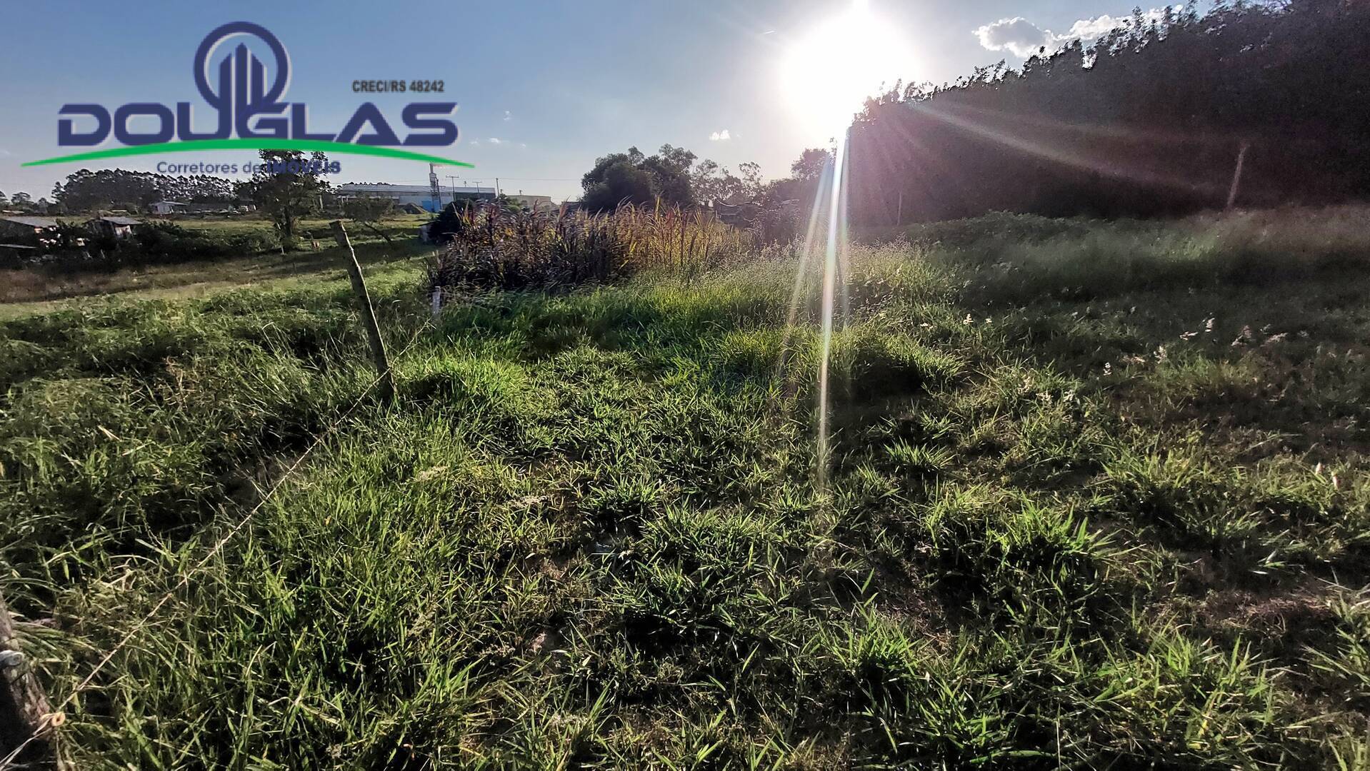 Sítio, 3 quartos, 4 hectares - Foto 26