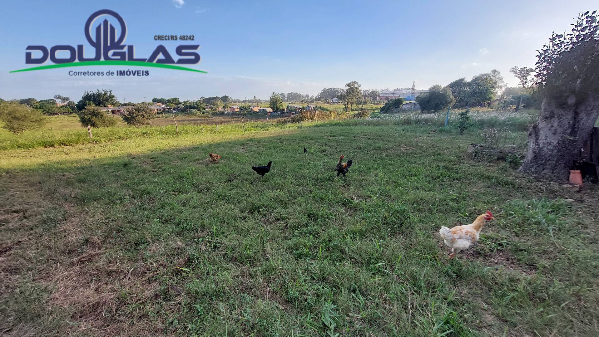 Sítio, 3 quartos, 4 hectares - Foto 29