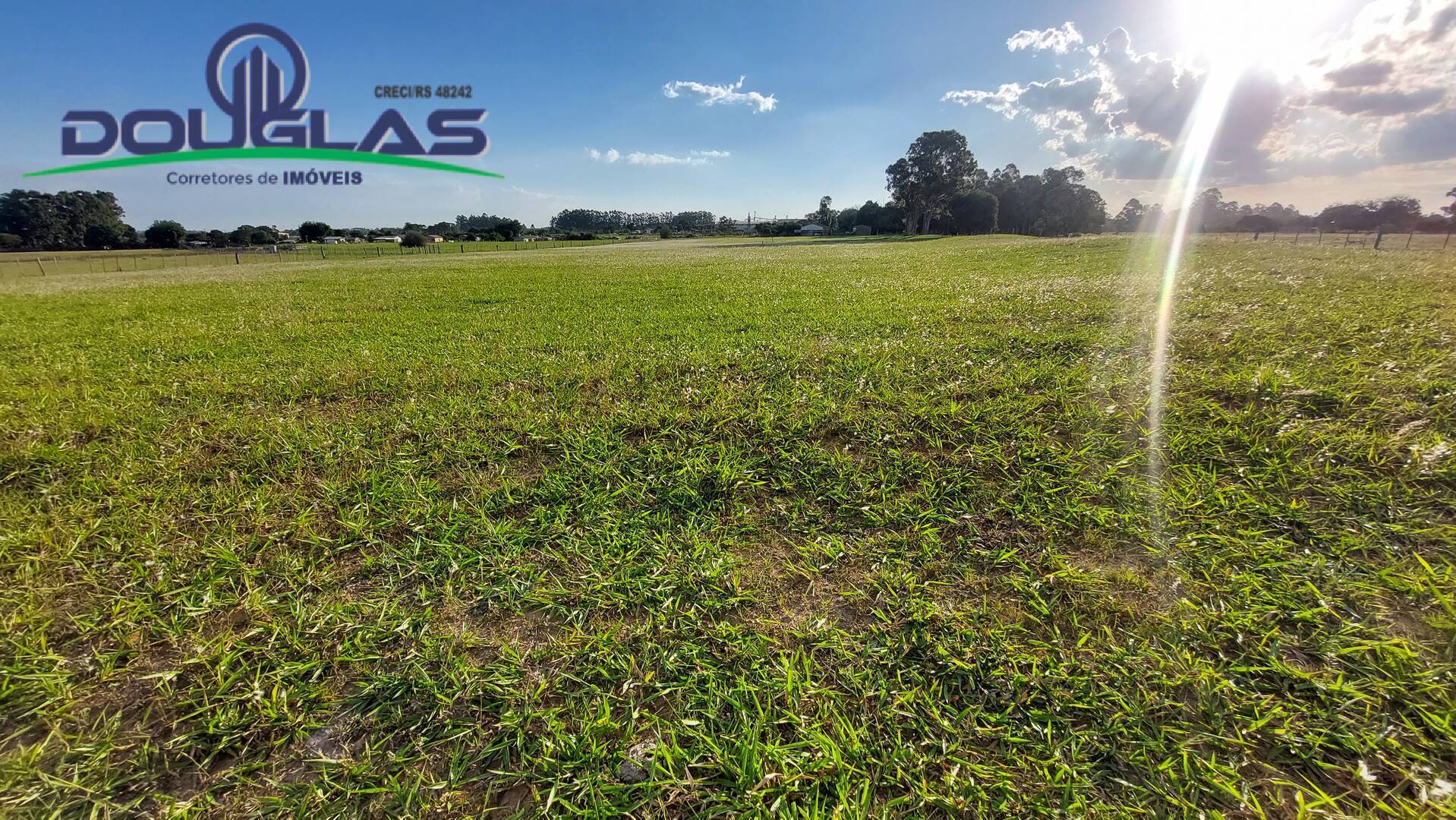 Sítio, 3 quartos, 4 hectares - Foto 37