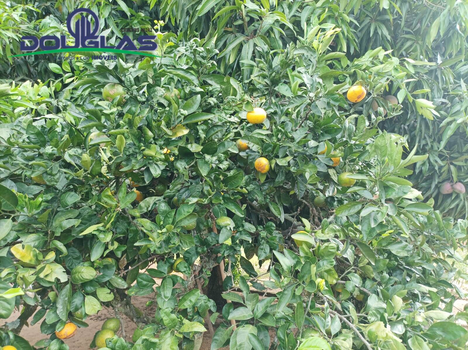 Casa, 2 quartos - Foto 20